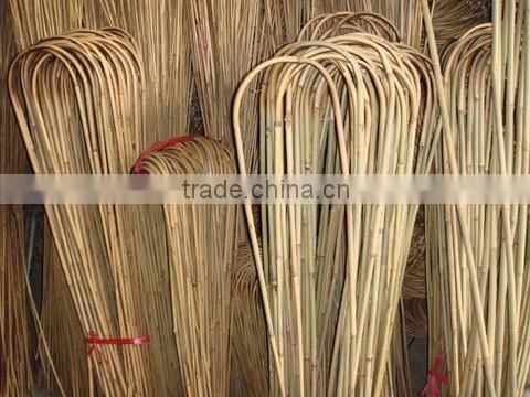 High quality bamboo trellie cheap bamboo bent U bent bamboo
