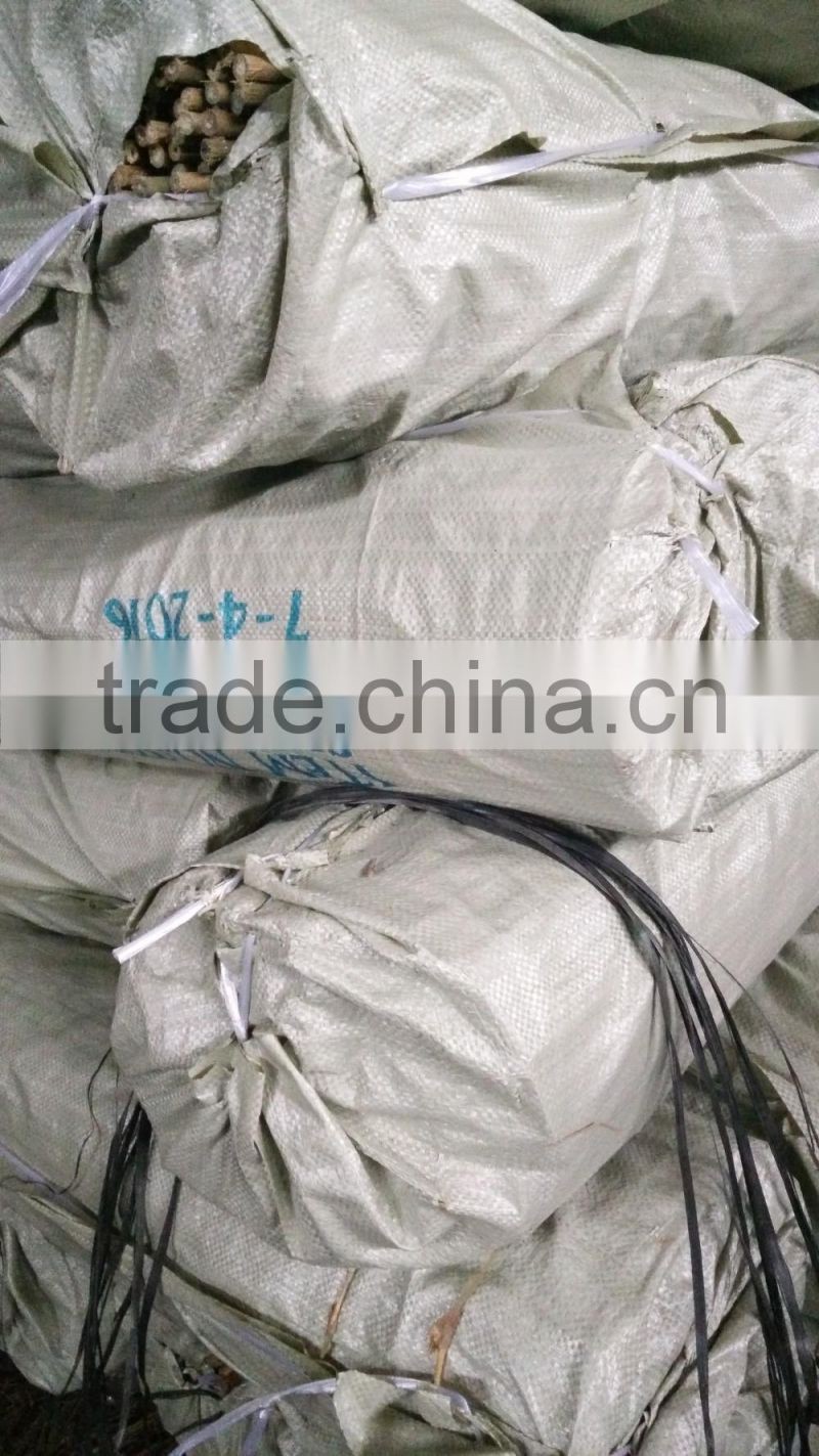 bamboo pole support apple tree growing