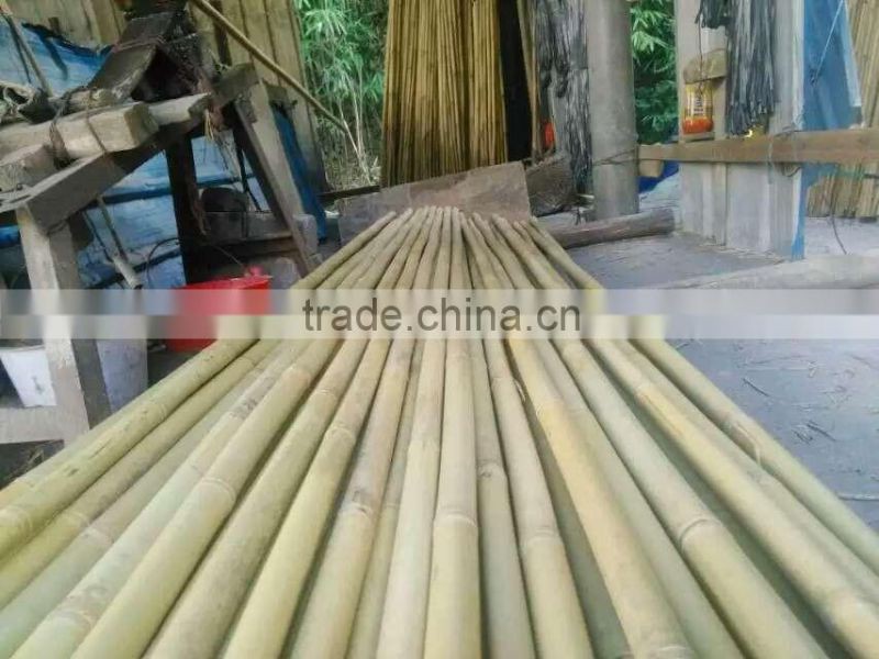 Cheap bamboo pole Bamboo cane YELLOW BAMBOO POLES