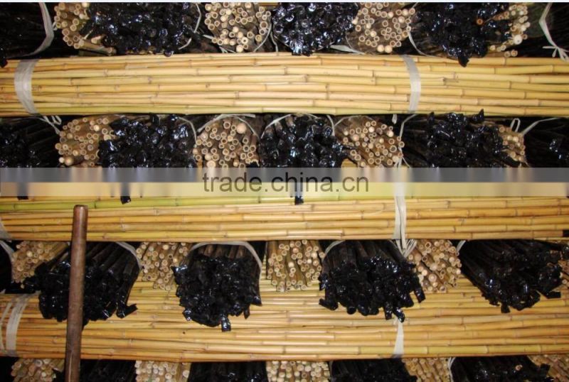 plastic coated bamboo poles