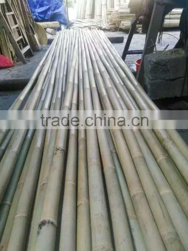 Cheap bamboo pole Bamboo cane YELLOW BAMBOO POLES