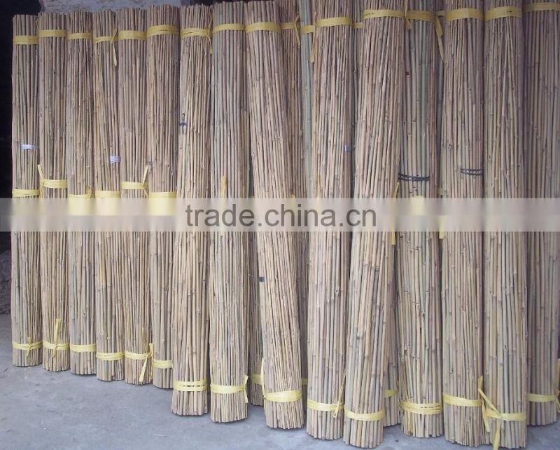 High Quality Bamboo Poles 6mm-60mm with Cheap Price raw bamboo poles yellow bamboo poles