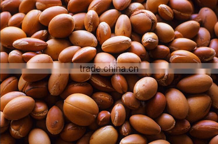 pure moroccan argan oil for hair care