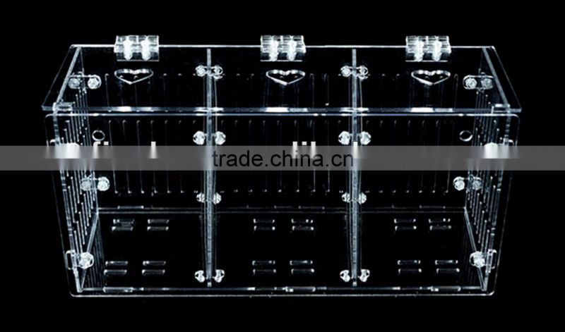 Acrylic Aquarium fish breeding trap, guppy breeder box
