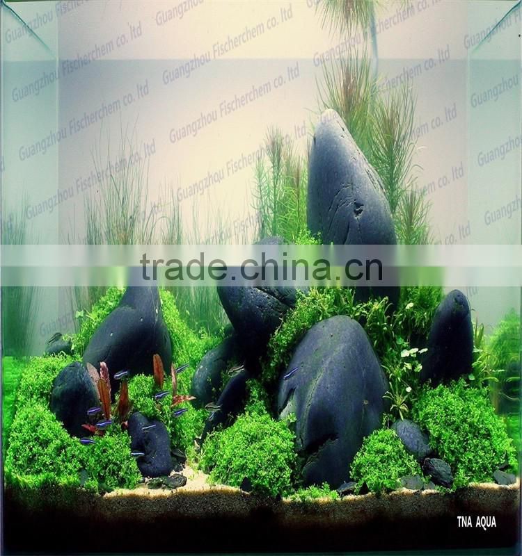 Various Decorative Stones For Fish Tank AquaScaping World