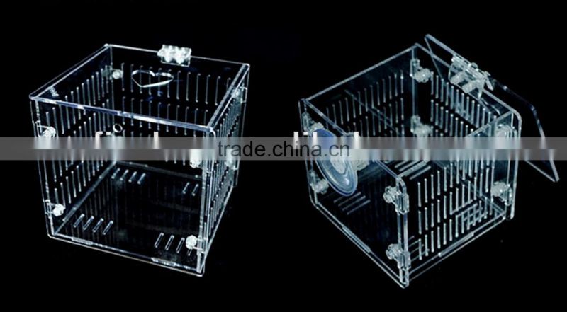 Acrylic Aquarium fish breeding trap, guppy breeder box