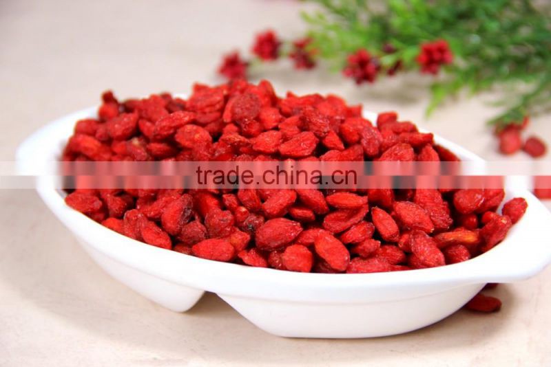 2016 Wholesale dried medlar for sale