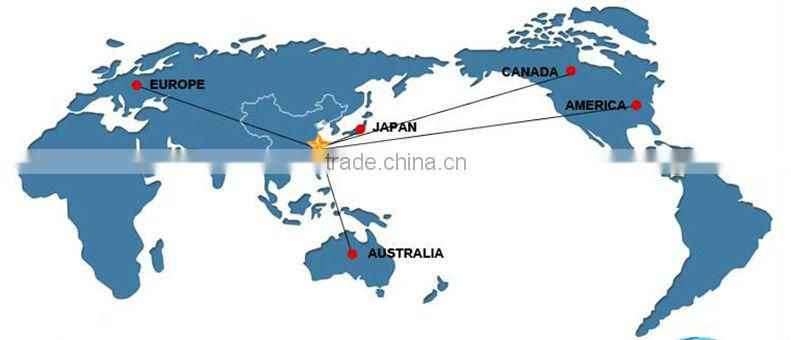 Fashion accessories wholesale hair accessories WFL-012