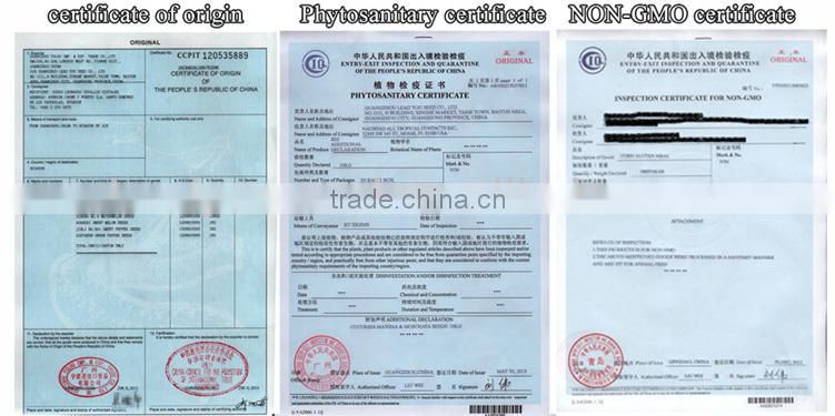 PE01 NO.604 California green snow pea seeds for agriculture sowing