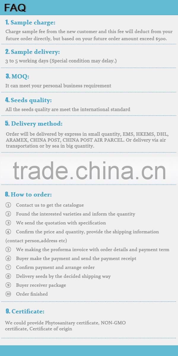 BE03 Qiwei dark green long bean seeds for planting