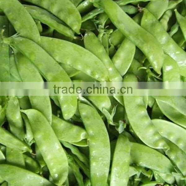 NPE01 Yiyan non hybrid snow pea seeds for growing