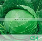 BE03 Qiwei dark green long bean seeds for planting