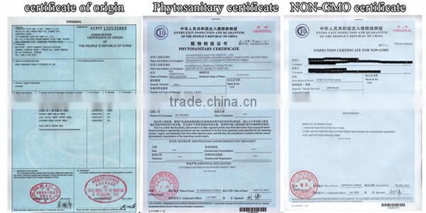 MBE03 Youqi high yield asparagus bean seeds, chinese long bean seeds company