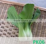 BE03 Qiwei dark green long bean seeds for planting