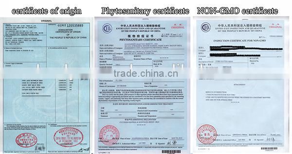 NPE01 Yiyan non hybrid snow pea seeds for growing