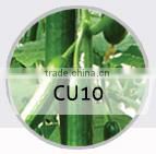 BE09 Nongzhong light green long bean seeds with white seeds inside