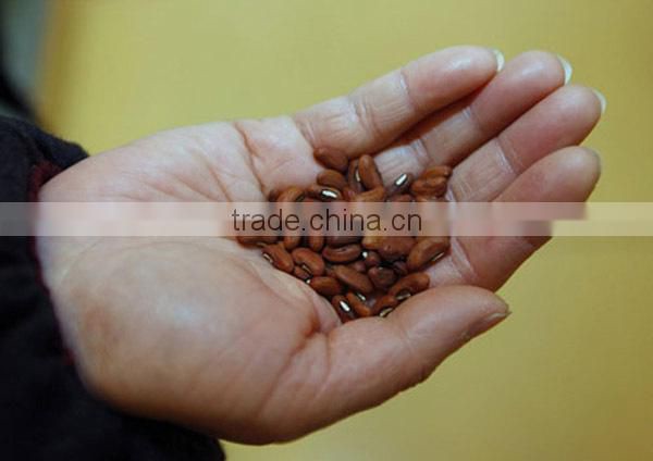 BE05 Hongzi light green early maturity long bean seeds in agriculture