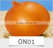 BE05 Hongzi light green early maturity long bean seeds in agriculture