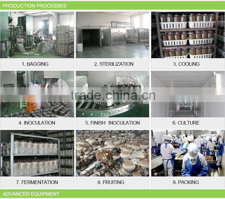 China dried Agrocybe chaxingu mushroom