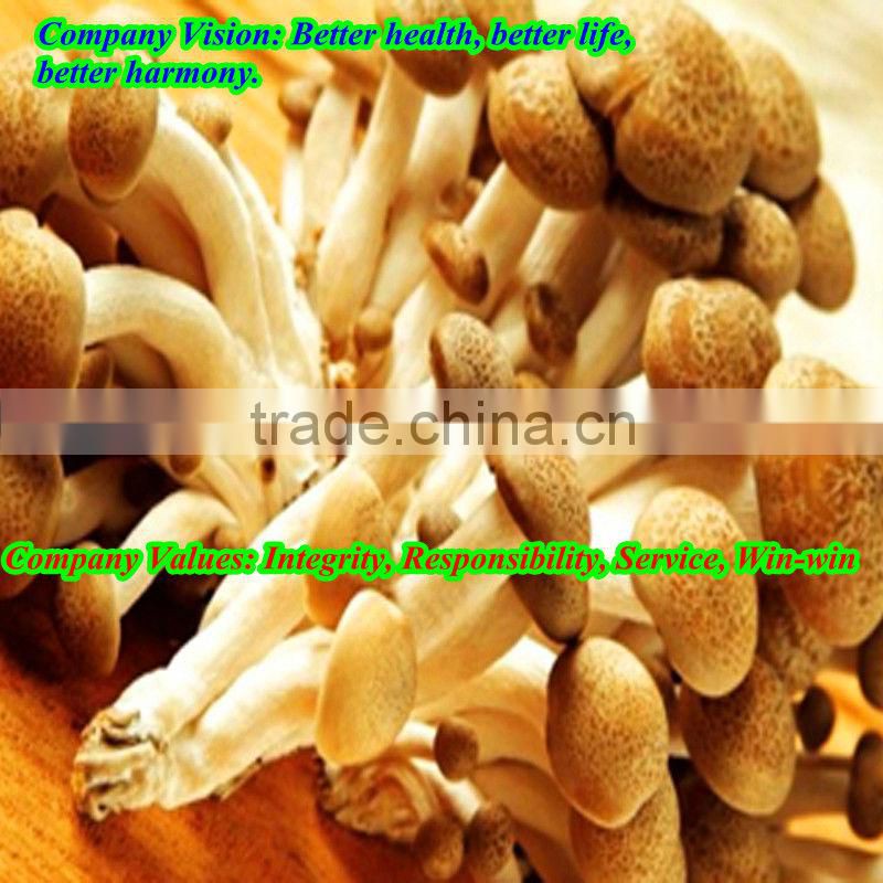 hot sale dried edible Tea tree mushrooms