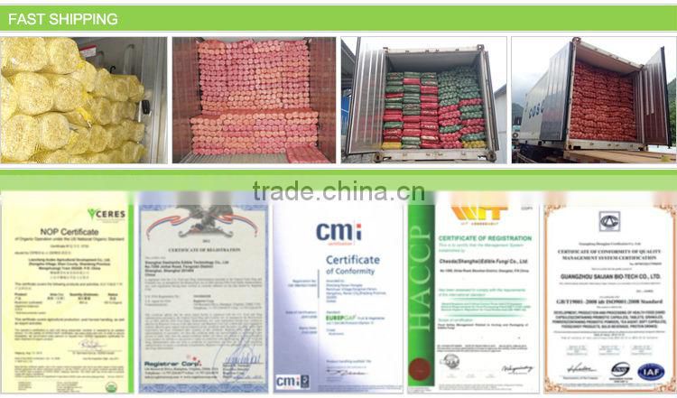 China dried Agrocybe chaxingu mushroom