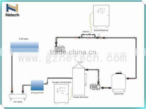 3-10LPM Industrial High Purity Psa Oxygen Concentrator