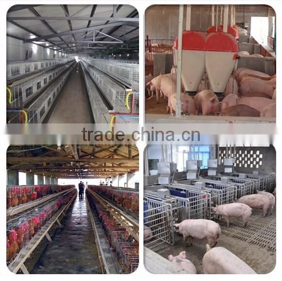 chicken cup drinker nipple waterer nipple drinker