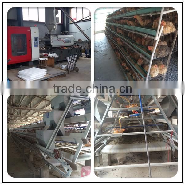 chicken cup drinker nipple waterer nipple drinker