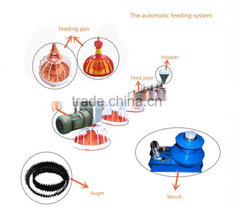china bird feeder line automatic feeder systern for chicken