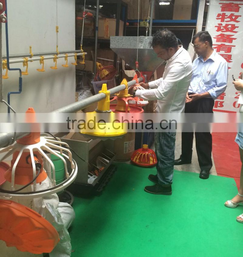 china bird feeder line automatic feeder systern for chicken
