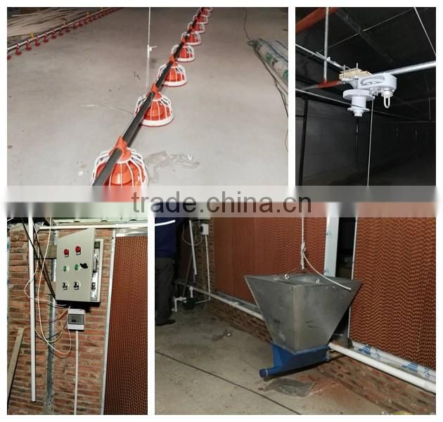china bird feeder line automatic feeder systern for chicken