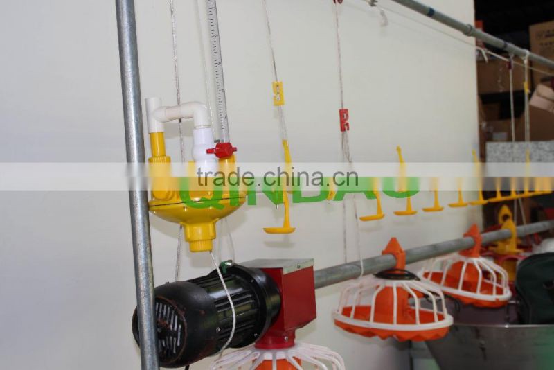 china bird feeder line automatic feeder systern for chicken