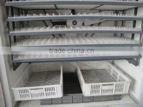 chicken egg incubator hatching machine for quail 2112 pcs