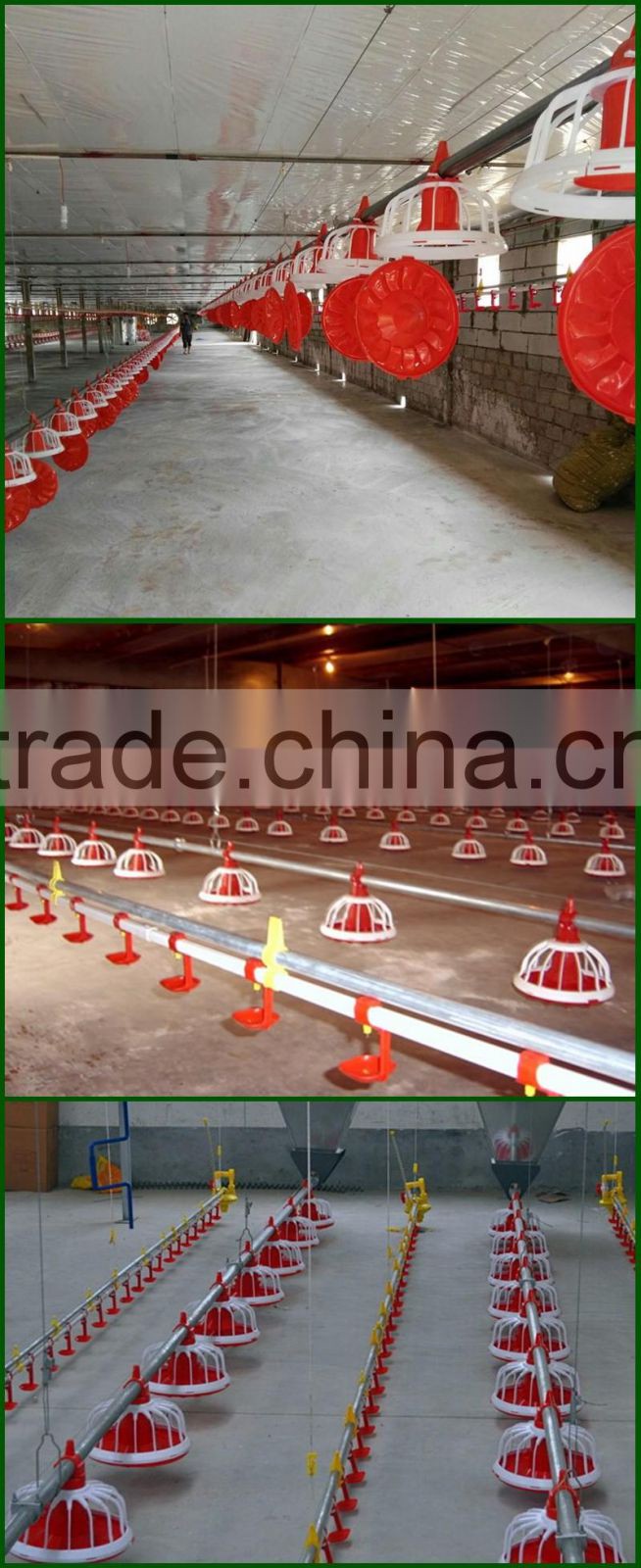 china bird feeder line automatic feeder systern for chicken
