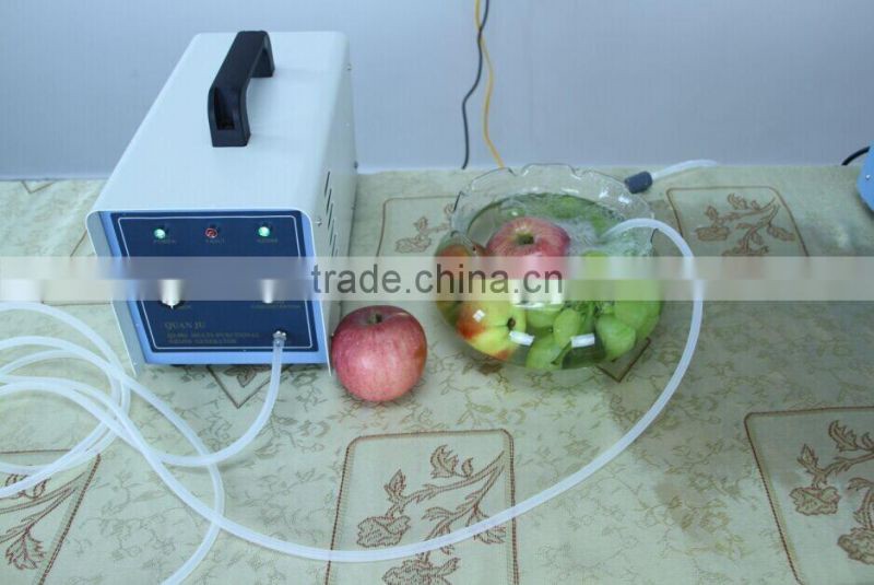 fruit washer, no residual pollution left, ozone water for better cleaning