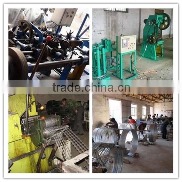 Professional ISO Security fencing razor barbed wire mesh fence,razor barbed wire