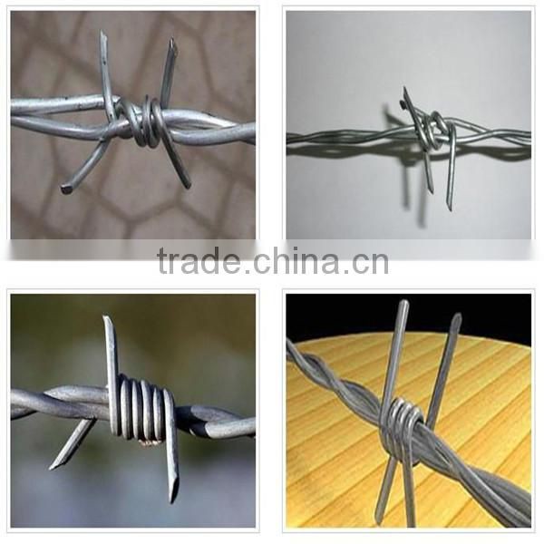 Cheap galvanized barbed wire with machine for sale