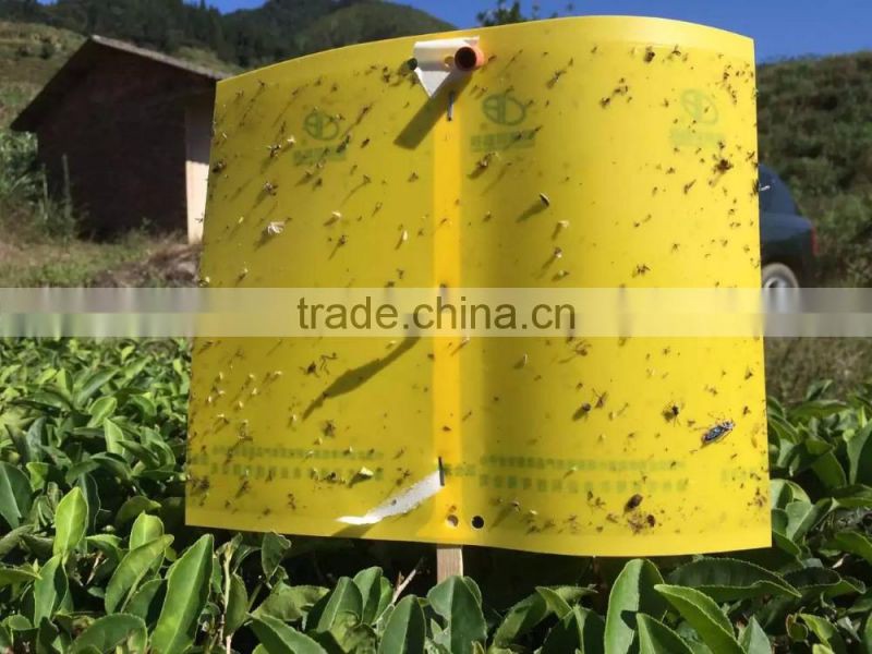 plastic Yellow Glue Trap for mosquito,fly,insect