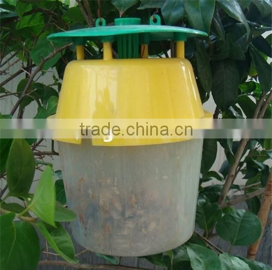 Hlyphantria cunea fly trap Sex Pheromone