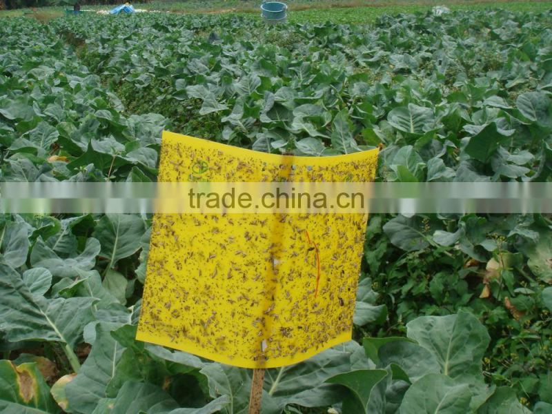 plastic Yellow Glue Trap for mosquito,fly,insect