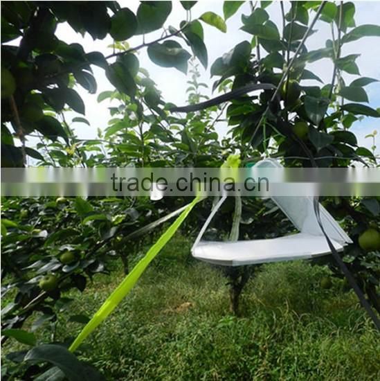 Delta Trap reusable insect trap