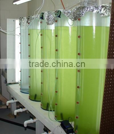 Aquaculture Algae Tank