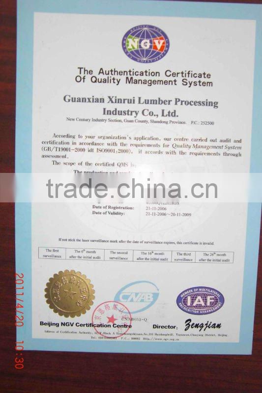 dried vital wheat gluten