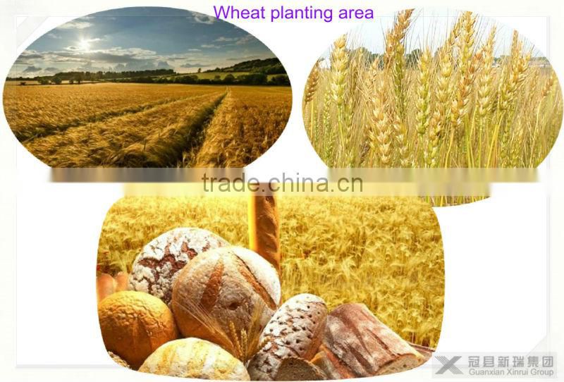 dried vital wheat gluten