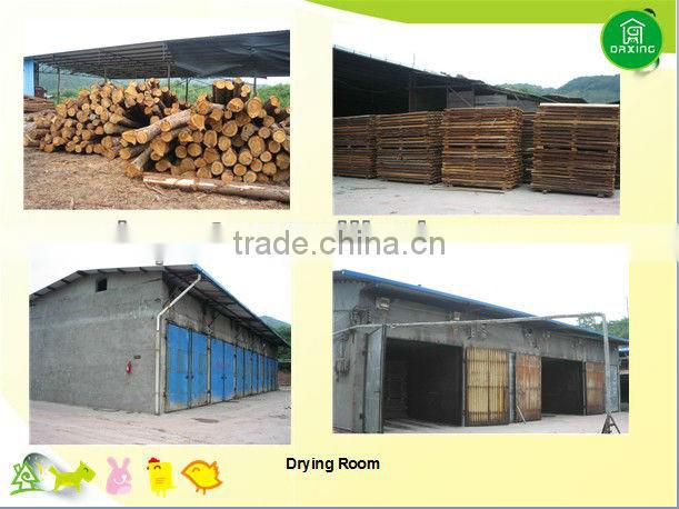 large wooden chicken coop DXH005S