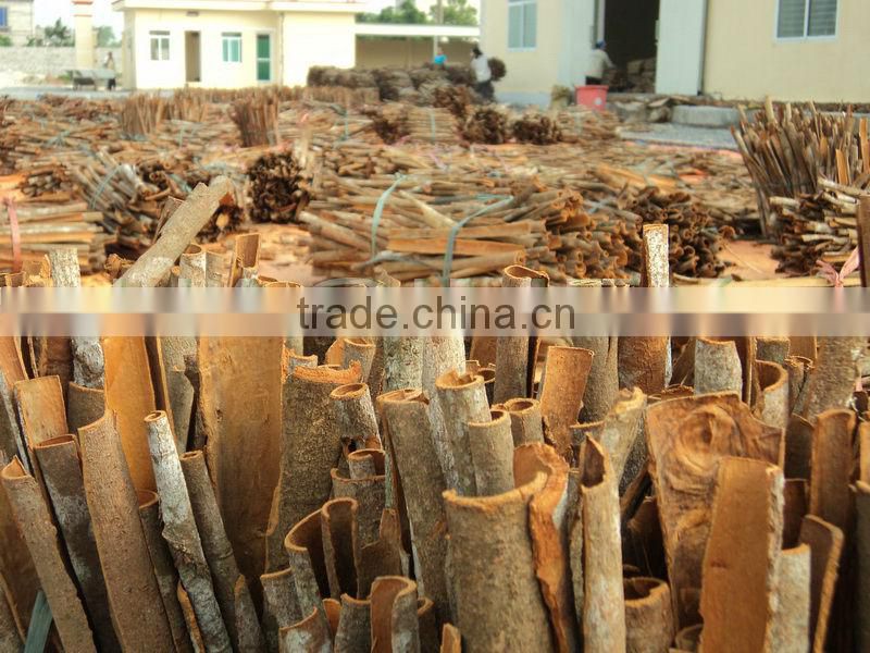 Organic split cassia from Vietnam - High quality & good price!