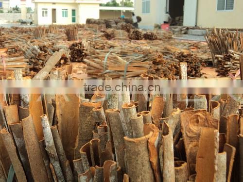 Cinnamon powder, cassia powder, high quality, good price by HAGIMEX