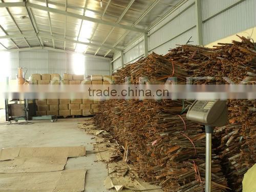 Organic split cassia from Vietnam - High quality & good price!