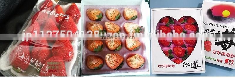 Delicious Komitsu apples from Japanese fresh fruit company