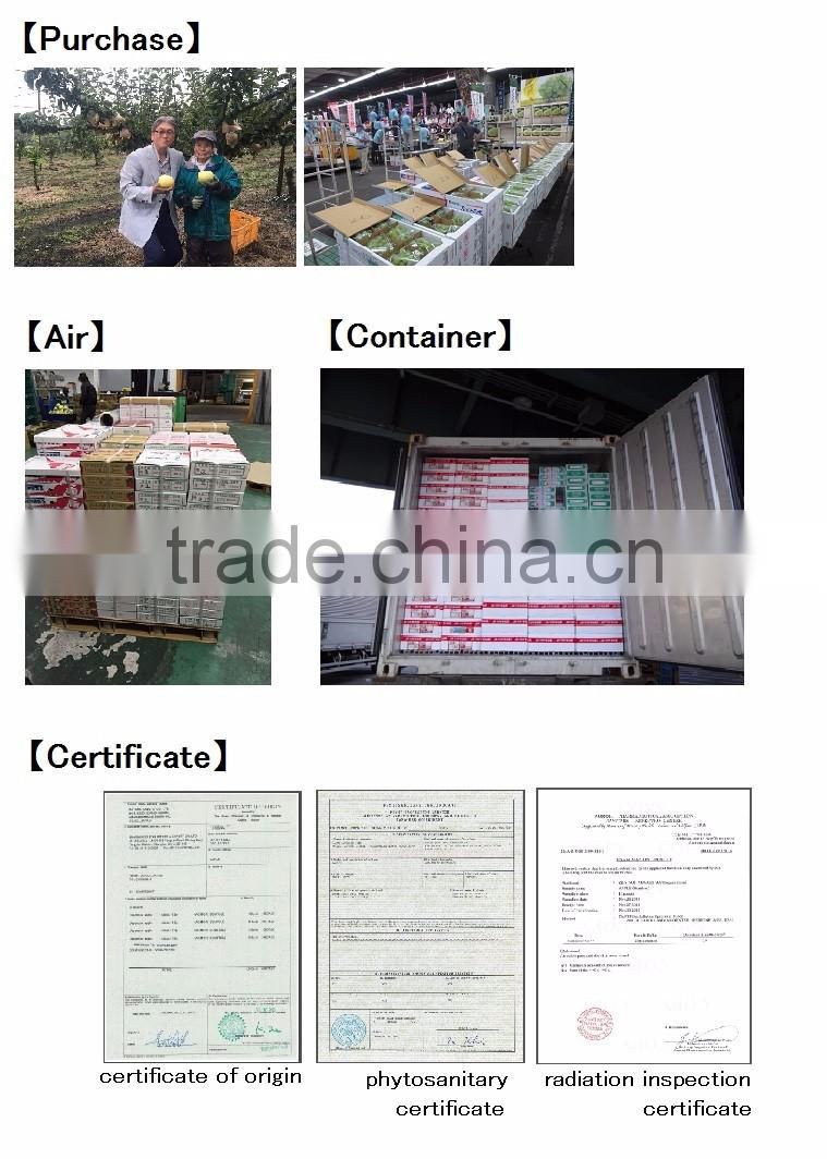 Delicious Komitsu apples from Japanese fresh fruit company